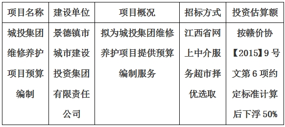 城投集團(tuán)維修養(yǎng)護(hù)項(xiàng)目預(yù)算編制計(jì)劃公告