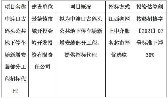 中渡口古碼頭公共地下停車場(chǎng)新增安裝部分工程招標(biāo)代理計(jì)劃公告