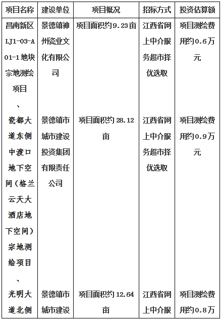 景德鎮(zhèn)市昌南新區(qū)LJ1-03-A01-1地塊、瓷都大道東側(cè)中渡口地下空間（格蘭云天大酒店地下空間）、光明大道北側(cè)利民路西側(cè)地下空間（青少年宮地下空間）、規(guī)劃二路北側(cè)地下空間地塊二（加速基地地下空間）、規(guī)劃二路北側(cè)地下空間地塊一（加速基地地下空間）、景德大道南側(cè)天寶橋西側(cè)地塊、景興大道東側(cè)如意路北側(cè)地下空間(社會公共服務(wù)