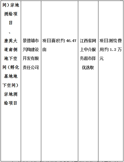 景德鎮(zhèn)市昌南新區(qū)LJ1-03-A01-1地塊、瓷都大道東側(cè)中渡口地下空間（格蘭云天大酒店地下空間）、光明大道北側(cè)利民路西側(cè)地下空間（青少年宮地下空間）、規(guī)劃二路北側(cè)地下空間地塊二（加速基地地下空間）、規(guī)劃二路北側(cè)地下空間地塊一（加速基地地下空間）、景德大道南側(cè)天寶橋西側(cè)地塊、景興大道東側(cè)如意路北側(cè)地下空間(社會公共服務(wù)